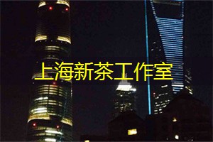 遵义市市长黄伟：加快推动省域副中心建设