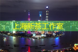 夜上海最时尚的购物街区，满足你的时尚品味！